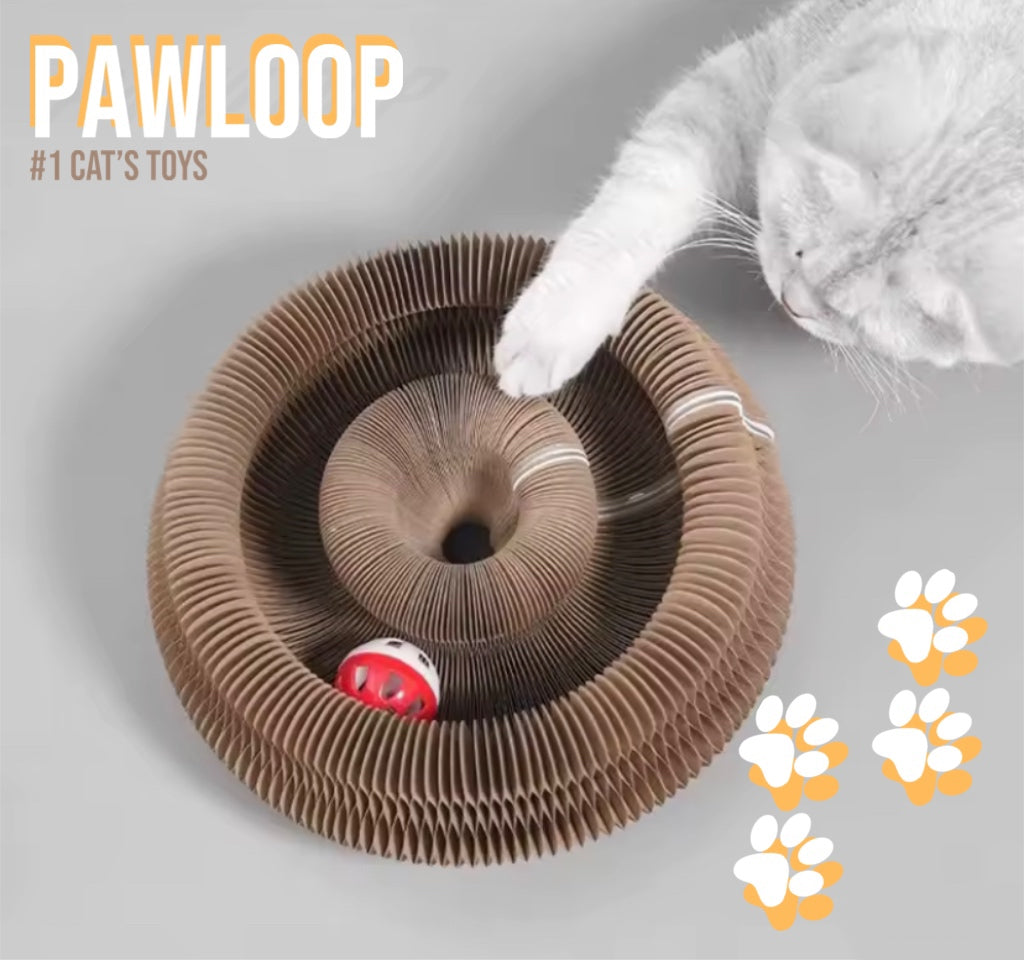 PAWLOOP
