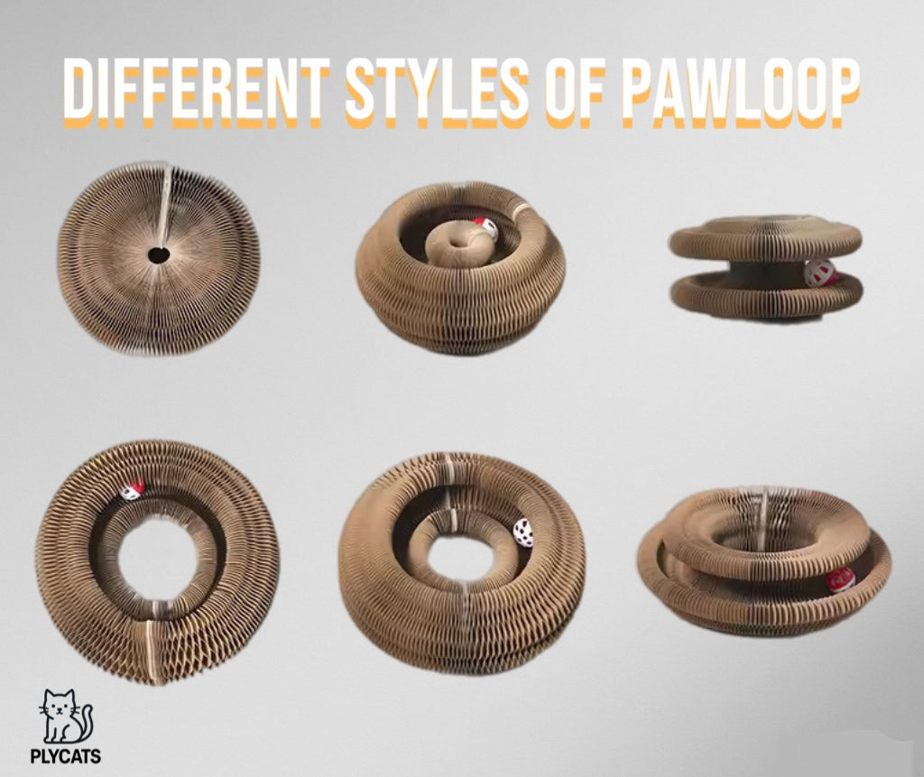 PAWLOOP